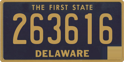 DE license plate 263616