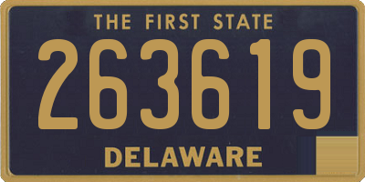 DE license plate 263619