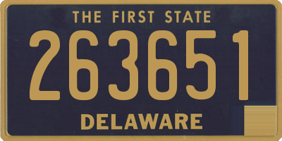 DE license plate 263651