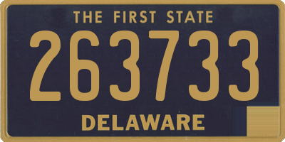 DE license plate 263733