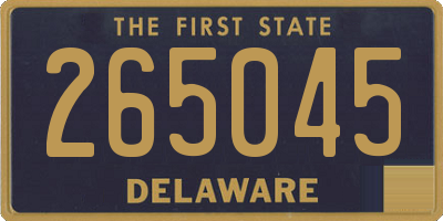 DE license plate 265045