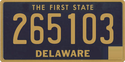 DE license plate 265103