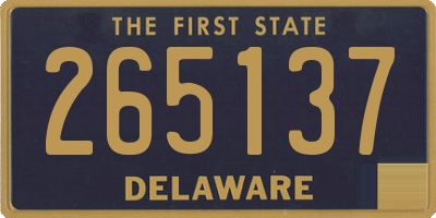 DE license plate 265137