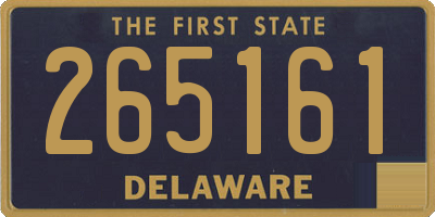 DE license plate 265161