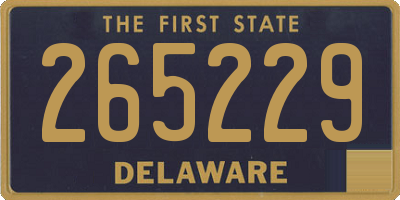 DE license plate 265229