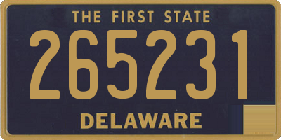 DE license plate 265231