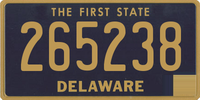 DE license plate 265238