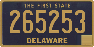 DE license plate 265253