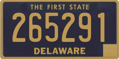 DE license plate 265291