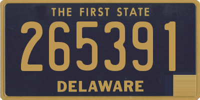 DE license plate 265391