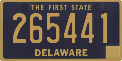 DE license plate 265441