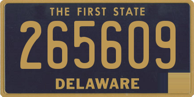 DE license plate 265609