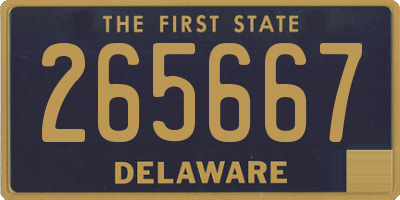 DE license plate 265667