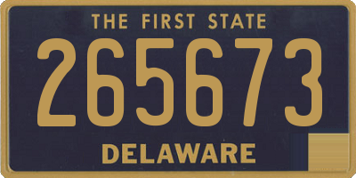 DE license plate 265673
