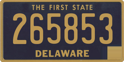 DE license plate 265853