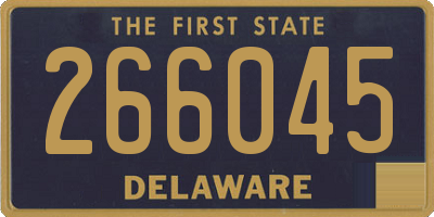 DE license plate 266045