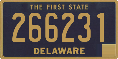 DE license plate 266231