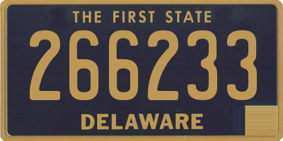DE license plate 266233