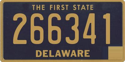 DE license plate 266341