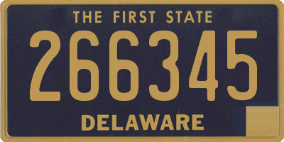 DE license plate 266345