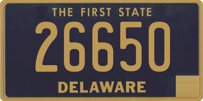 DE license plate 26650