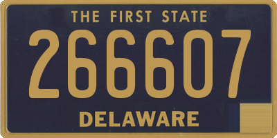 DE license plate 266607
