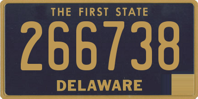 DE license plate 266738
