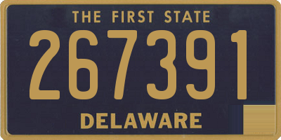 DE license plate 267391