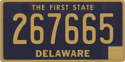 DE license plate 267665