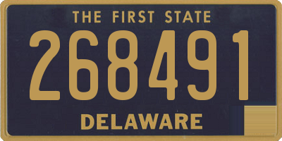DE license plate 268491