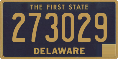 DE license plate 273029