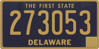 DE license plate 273053