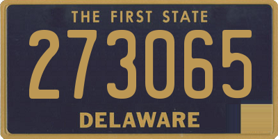DE license plate 273065