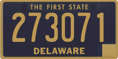 DE license plate 273071
