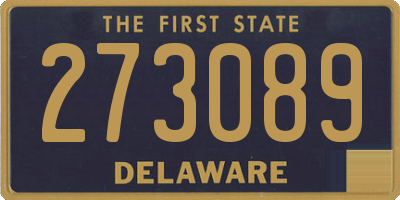 DE license plate 273089
