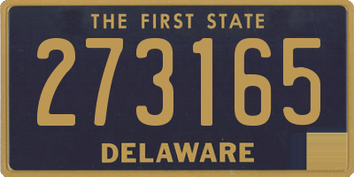 DE license plate 273165