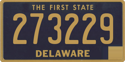 DE license plate 273229