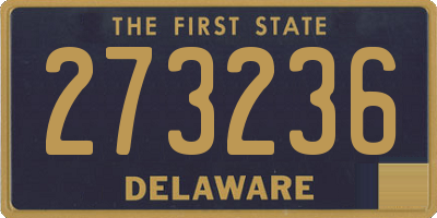 DE license plate 273236