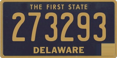 DE license plate 273293