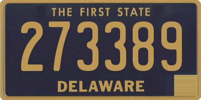 DE license plate 273389