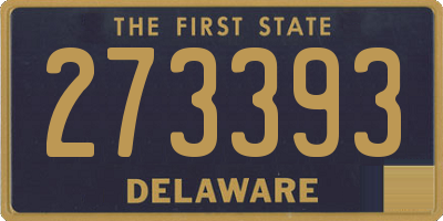 DE license plate 273393