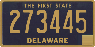 DE license plate 273445