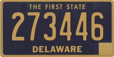 DE license plate 273446