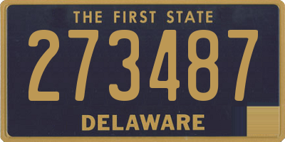 DE license plate 273487
