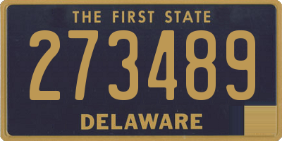 DE license plate 273489