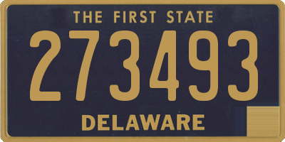 DE license plate 273493