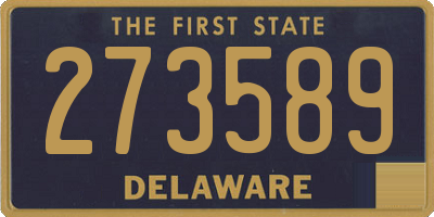 DE license plate 273589
