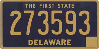 DE license plate 273593