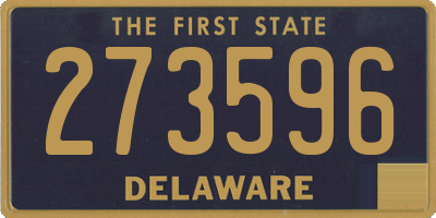 DE license plate 273596