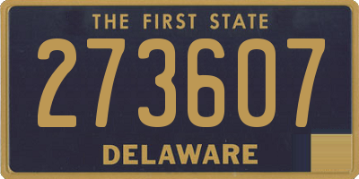 DE license plate 273607